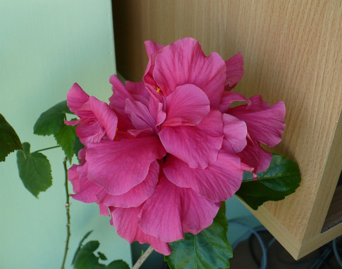 P1340511