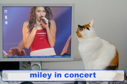 captionit1100138413D30