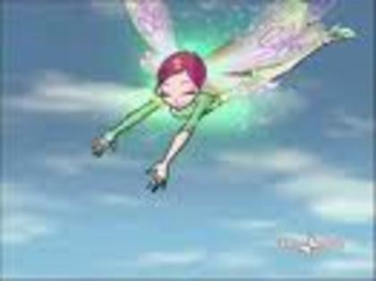 stellawinxclub33