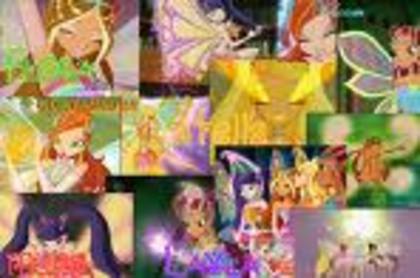 stellawinxclub37