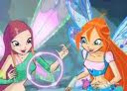 stellawinxclub40