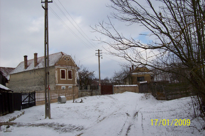 Fundatura ungherului de pe Cocoroveni,unde in fata casei fam.V. FORSEA se afla  fantana lui Claie Gu - SATUL  PALOS ARDEAL