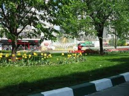 images (16) - florile mele preferate