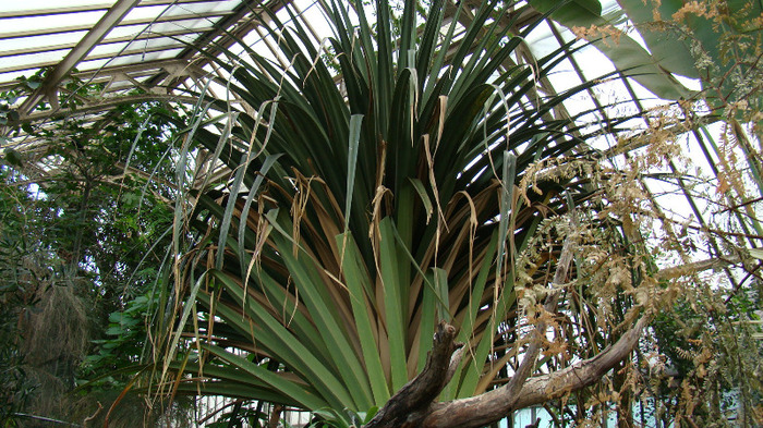 DSC01034 - ZOO BUDAPESTA