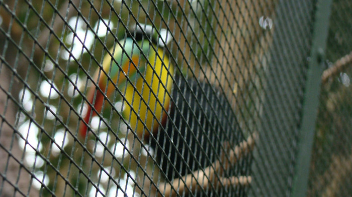 DSC01048 - ZOO BUDAPESTA
