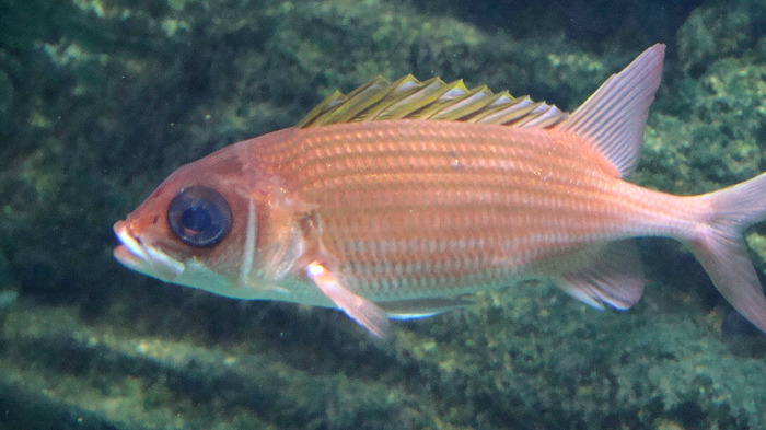 DSC01091