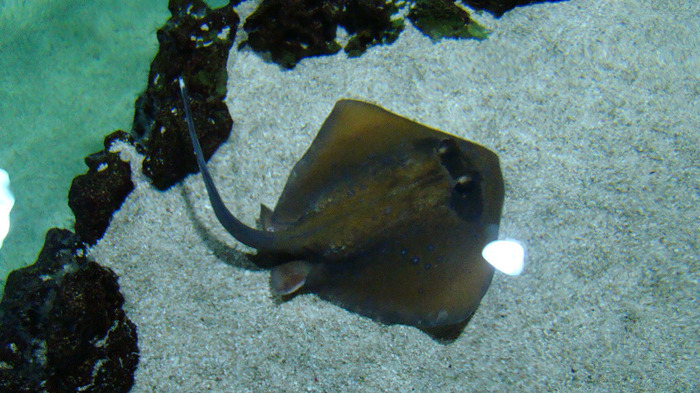 DSC01097