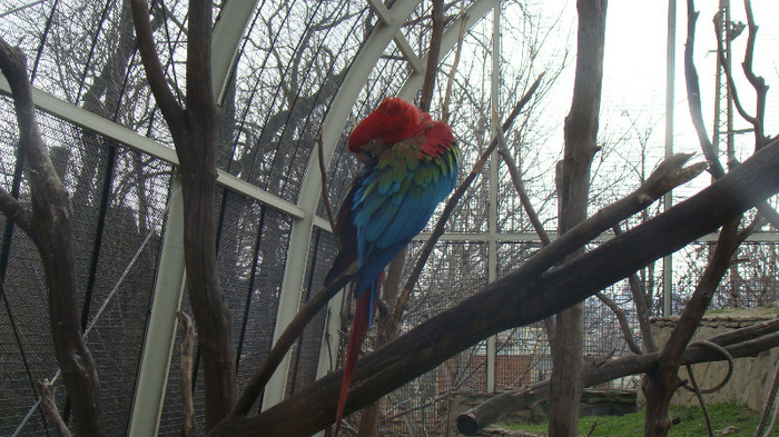 DSC01158