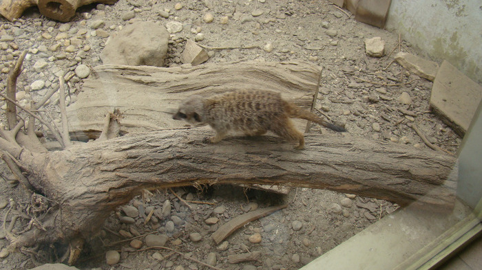 DSC01180