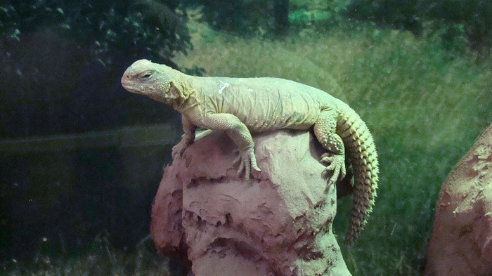 DSC01205