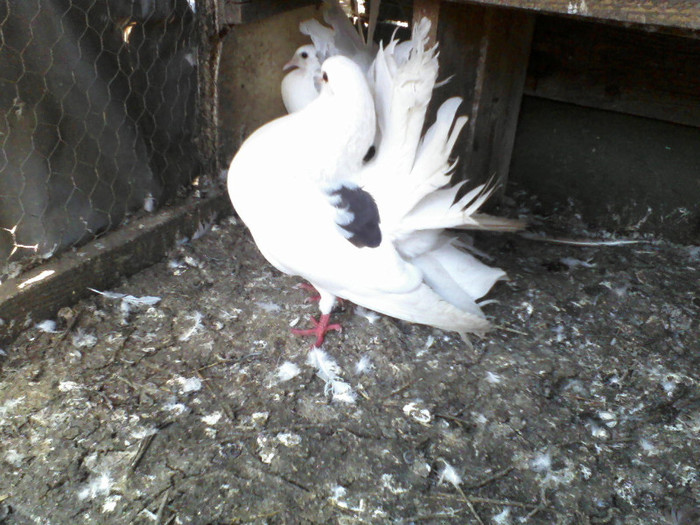 P19-06-11_12.56[2]