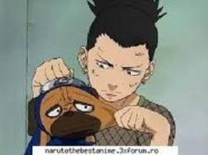 imagesCA5GTNYO - shikamaru