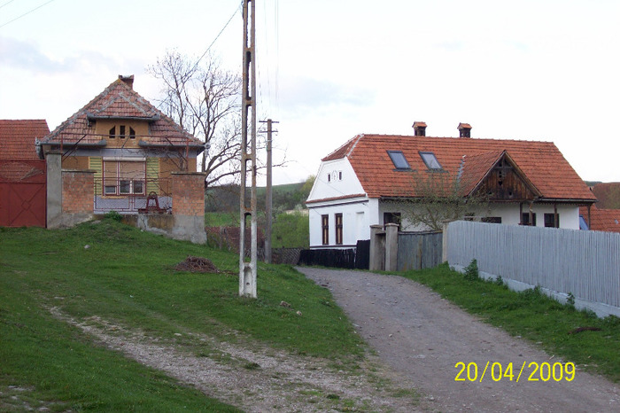 Fosta casa alui Petreadimii. - SATUL  PALOS ARDEAL