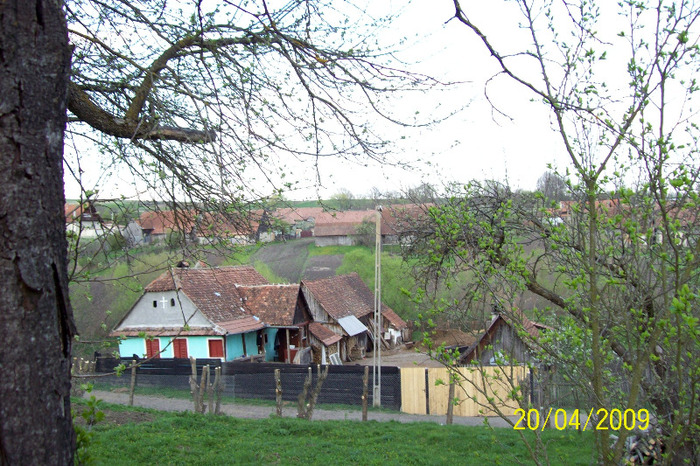 Casa lui Florea  Constantin. - SATUL  PALOS ARDEAL