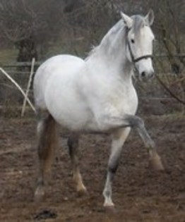 20629381_KNZZAESOQ - cai