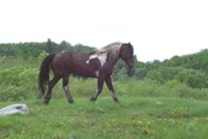 20642596_JKBTSOCXH - cai