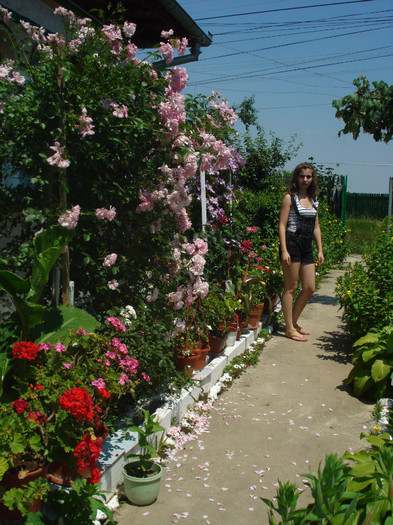DSC06507