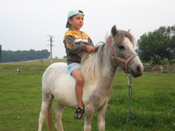 IMG_1960 - VANZARI PONEI