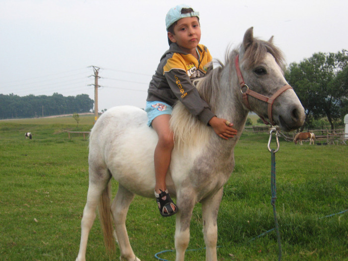 IMG_1963 - VANZARI PONEI