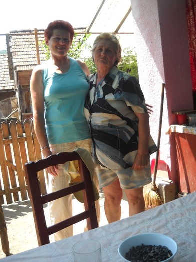 fOSTA-I LELE CAND AI FOST fOSTA-I LELE CAND AI FOST