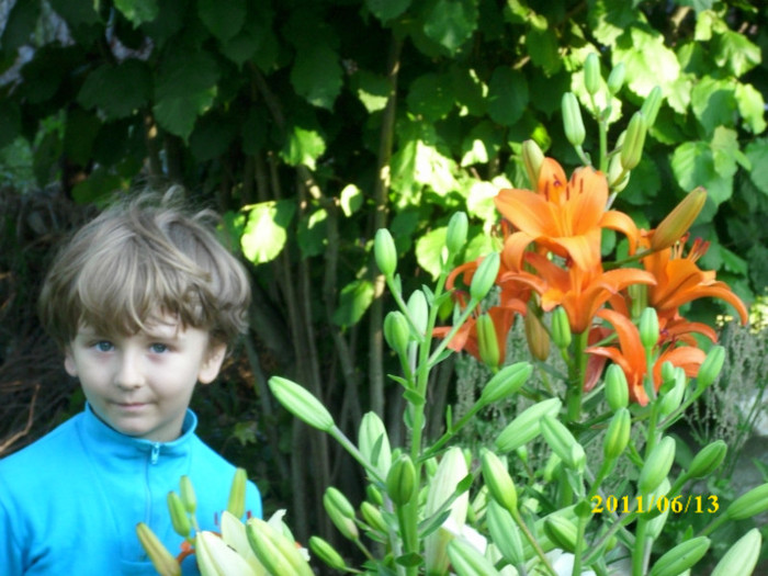 DSCI0311 - 2011 bucuria florilor
