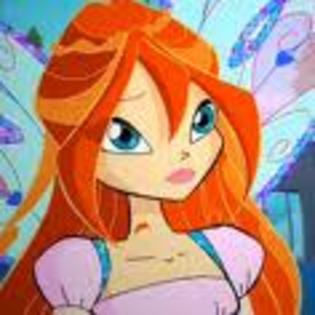 bloom and - Album pentru winxclubtheprincess