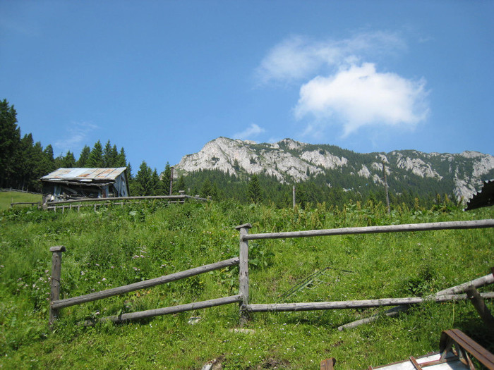 CABANA CURMATURA-ZARNESTI 18-06-2011 034