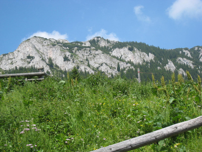 CABANA CURMATURA-ZARNESTI 18-06-2011 039