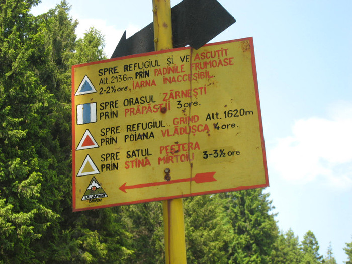 CABANA CURMATURA-ZARNESTI 18-06-2011 041