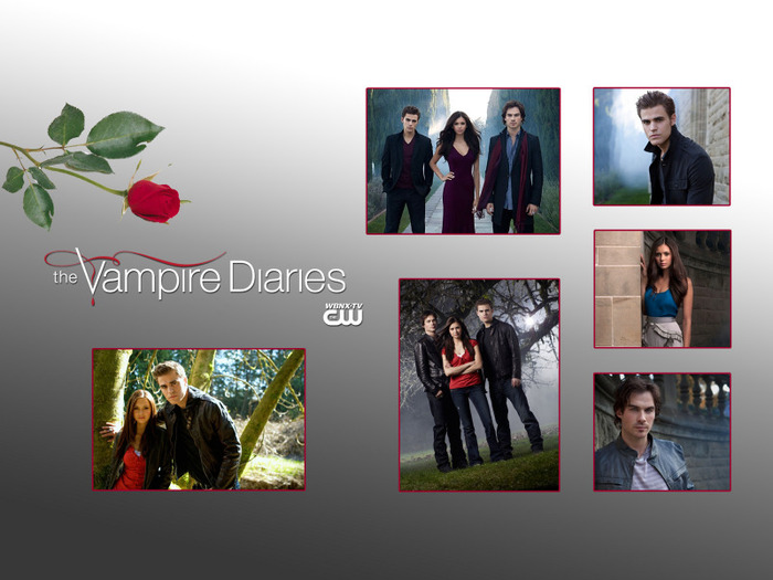 Vampire Diaries Wallpapers