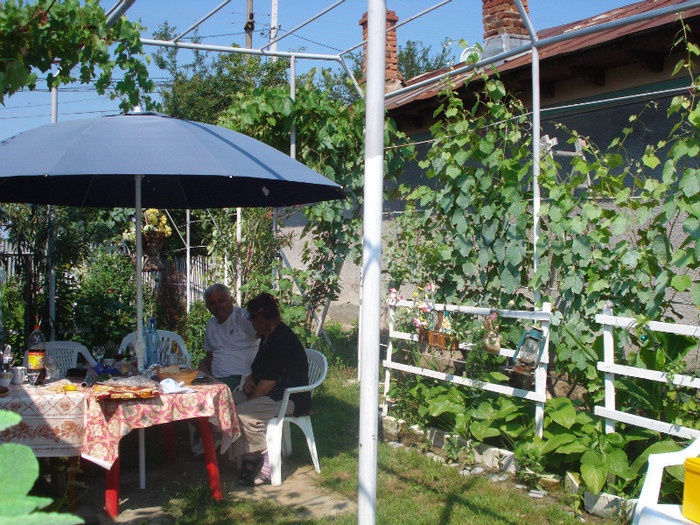 DE VORBA CU BUCATARUL SEF!