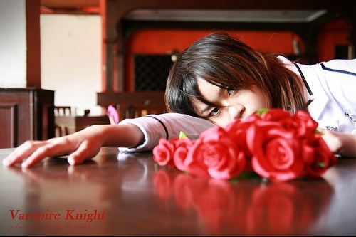 cosplay-vampire-knight-2330446e61