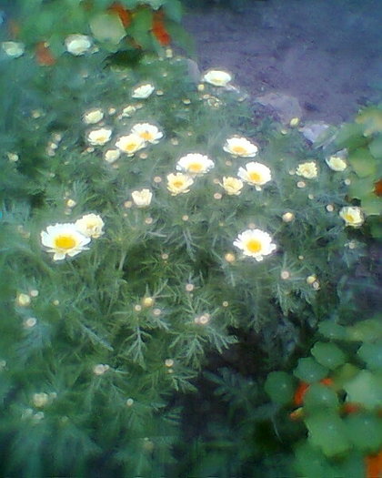 Fotogr.0398