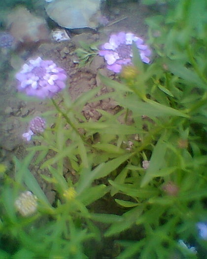 Fotogr.0428