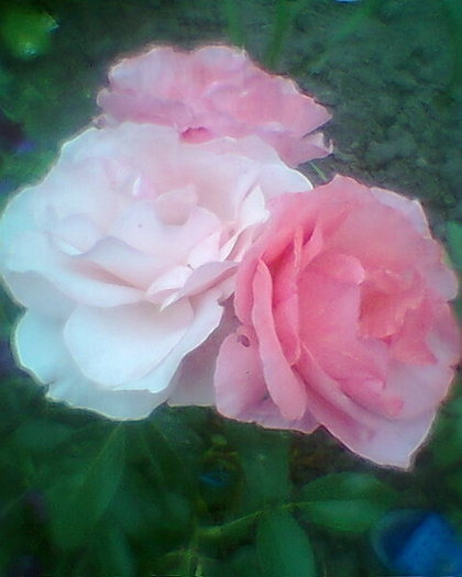 Fotogr.0401