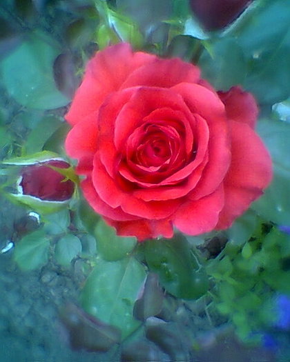Fotogr.0402