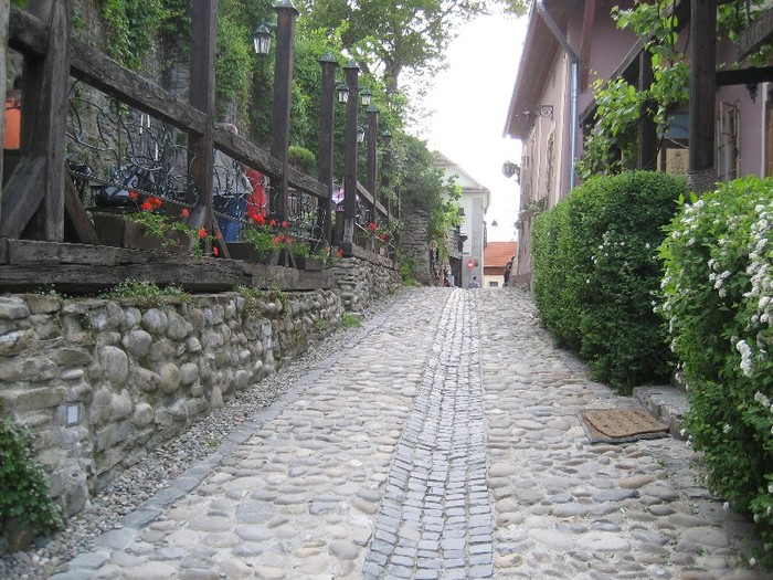 IMG_3447 - danes-sighisoara