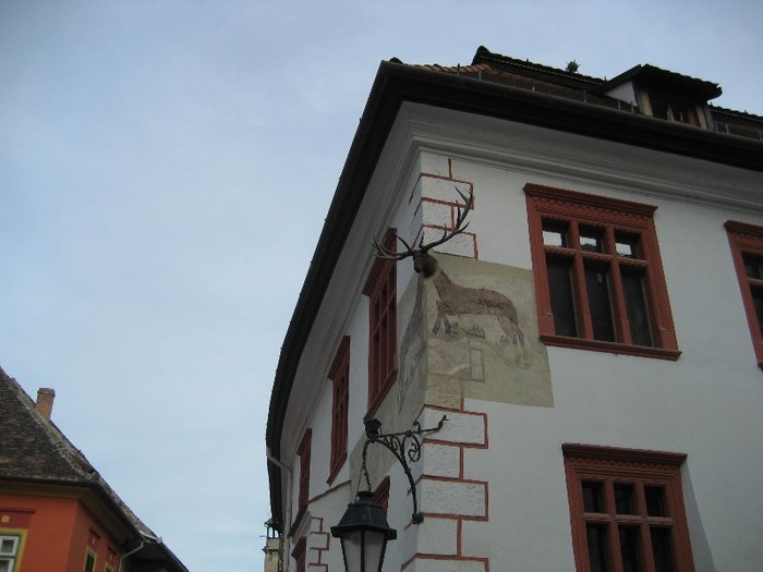 IMG_3480 - danes-sighisoara