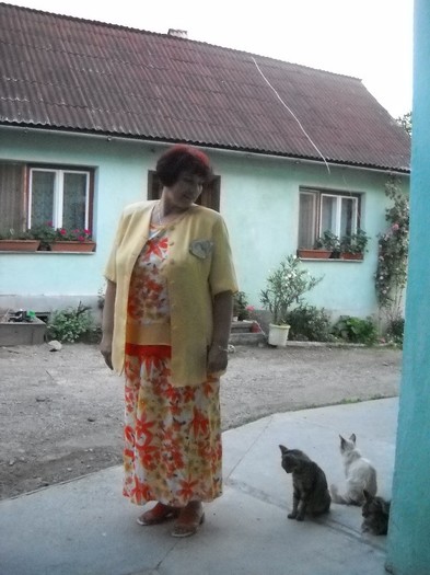Ma asteptau pisicutele mele