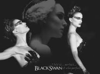  - Black Swan