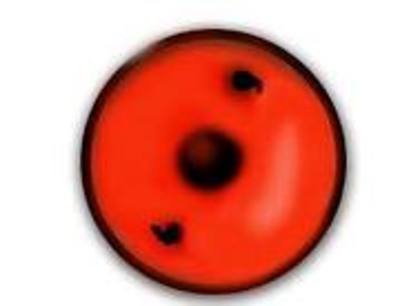 wew