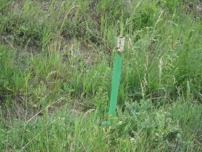 ..........imprejmuiri - RAPA CU PAPUSI-monument arheologic