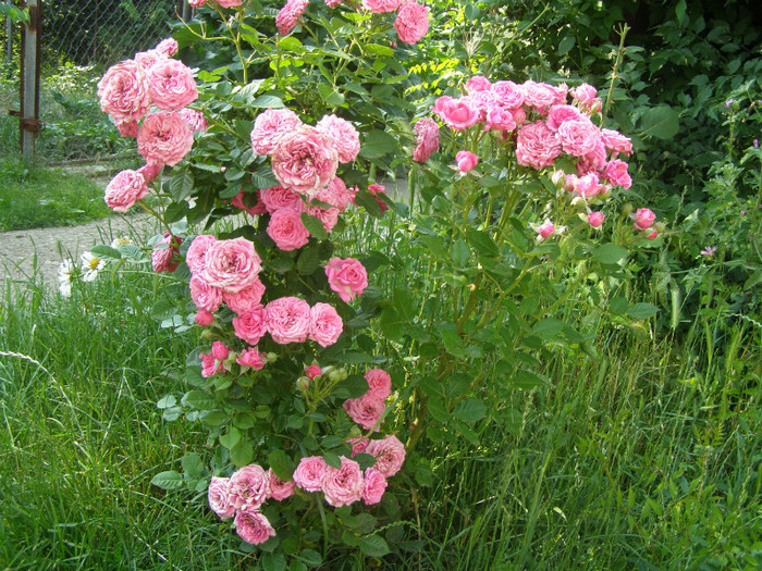 P5026137
