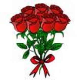 DD - trandafiri rosii