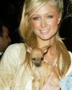  - Paris Hilton caini