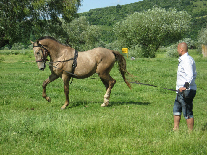 ARMASAR LIPITAN