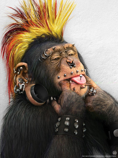 Punk monkey - ThE Monk3y