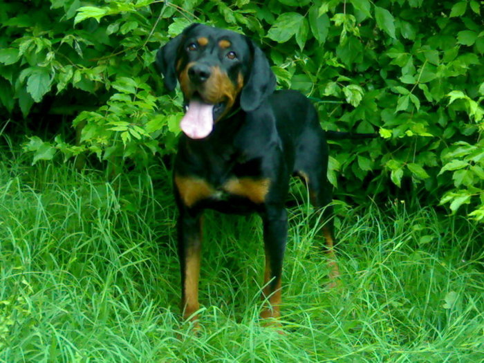 24222644_VJSPWWZXU[1]