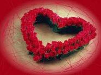 inima formata din trandafirii iubirii