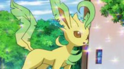 (Peste Leafeon se lasa sclipici) - Ultra Ballte Pokemon episodul 6